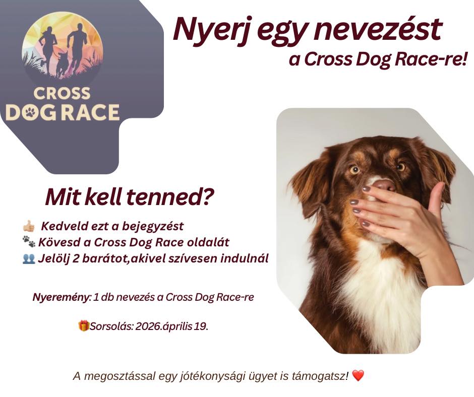 WIN STARTING FEE for the Cross Dog Race!